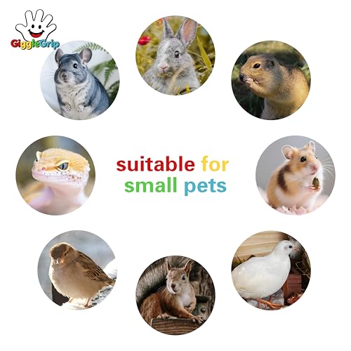 Bird Foraging Toys,Interactive Parrot Training Puzzle & Treat Dispenser, Durable Plastic Enrichment Toys for Cockatiels, Conures, Parakeets, Budgies(Pack4)