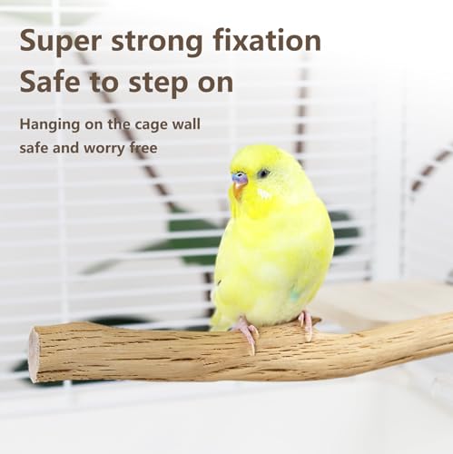 Natural Wood Bird Perch for Cage – Chewing & Claw Trimming Perch Toy for Parrots, Cockatiels, Budgies (Large 12") - size: Large 12"
