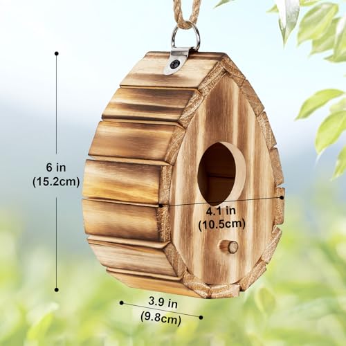 Hummingbird House for Outside - Natural Wooden Birdhouse for Bluebirds, Finches, Cardinals - Small Hanging Bird Nesting Box for Garden, Patio, or Yard - 5.9" D x 4.1" W x 3.8" H