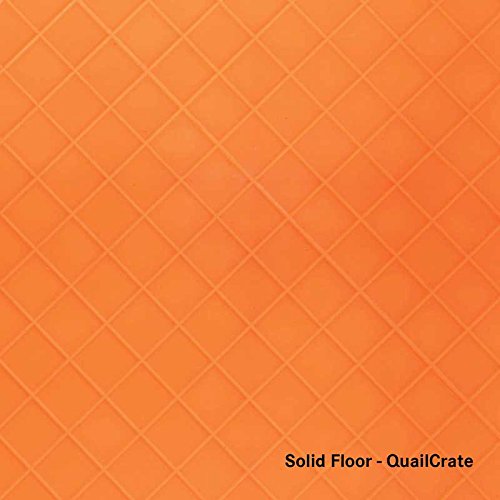 Premier 1 Quail Transport Crate - 26" L x 16" W x 5" H (Single) | For field-trials & farm use. Up to 30 quail or newborn chicks. Top & side doors. Pre-assembled, stackable. Solid floor. - size: 26.0"L x 16.0"W x 5.0"H