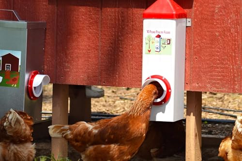 RentACoop High Rise BPA-Free Single-Port Chicken Feeder - 10lb
