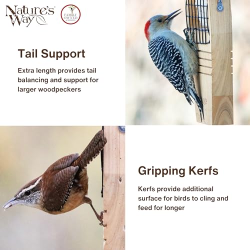 Nature's Way Bird Products CWF1 Tail-prop Suet Bird Feeder 12"H x 7.875"L x 3"W, Brown - style: Cedar Single Suet Feeder