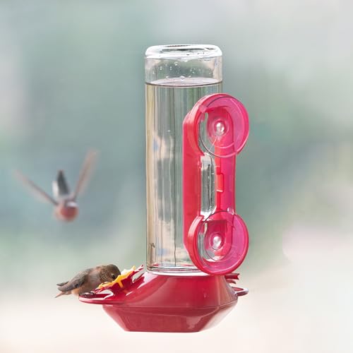 Perky-Pet Window-Mounted Glass Hummingbird Feeder - 14 fl oz Nectar Capacity - Entertaining Bird Watching - Glass Window Bird Feeder - 455-2 - Family Birdwatching - size: (Pack of 1)