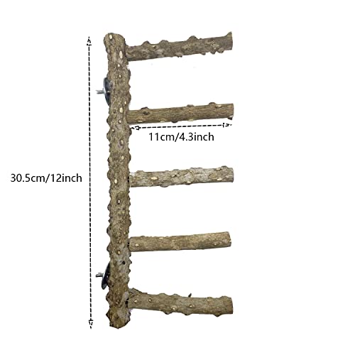 3 PCS Nature Wood Bird Ladder Perch Nature Wood Stand Parrot Chew Toy Cage Hanging Pet Cage Bird Climbing Step Ladders for Small Animal