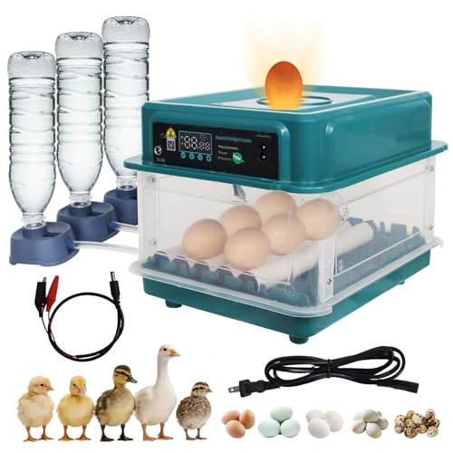 12 Eggs Incubators for Hatching with Auto Turning and Humidity Display | Temperature Monitoring，Adjustable rollers，Suitable for a variety of poultry eggs，Automatic Egg Turner