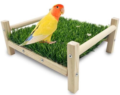 FlidRunest Bird Foraging Bed, Parrot Hammock Bed, Parrot Grass Perch Bed, Bird Perch Conure Platform Grass Forage Toy for Parakeet, Cockatiel, Lovebird, Budgie
