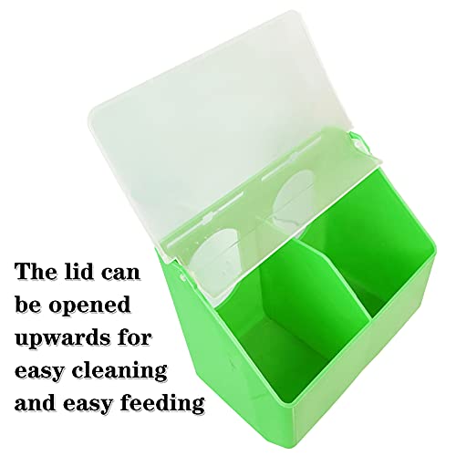 Pigeon Feeder Water 2 Pack Quail Bird Chicken Feeder Water Dispenser Drinkers with 2 Hole Pet Bowls & Feeders Eat Food (Two Hole (Green))