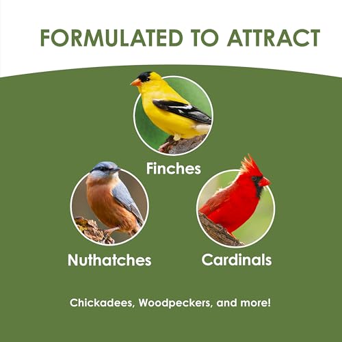 Kaytee Ultimate No Mess Food, Wild Bird Seed for Outside Feeders, Grosbeaks, Cardinals, Nuthatches, Woodpeckers & More, 9.75 Pounds - size: 9.75 Pound (Pack of 1), style: No Mess