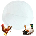 Disposable Poultry Diaper Pads 20Pcs~100Pcs for Goose Chicken Hen Duck Bird Sticky Pad Leak-Proof Unscented Reusable Diapers Nappy Accessories (One Size, Count, 20)
