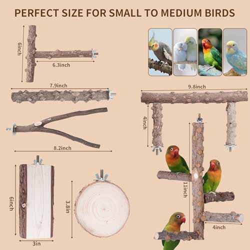 Kintor Bird Perch Set,7pcs Natural Wood Stand for Parakeet Cockatiel Conure | Natural Prickly Ash Wood,Bird Platform Branch Fork Stand,Bird perch Cage Accessories for small medium Parrot Lovebird Budgie