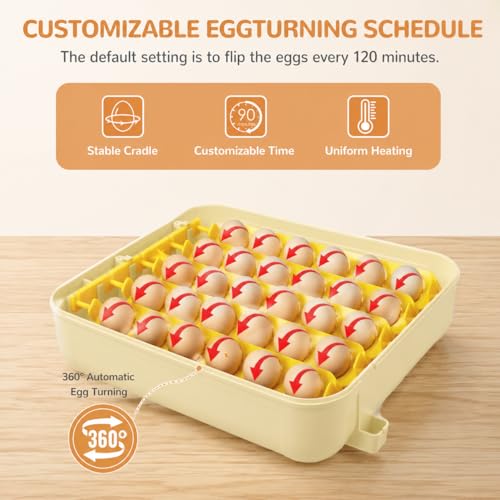 Egg Incubators for Hatching 30 Eggs with Temperature Humidity Control | Chicken Incubator with Humidity Display Auto Water Filling,Quail Incubator with Automatic Egg Turning - color: Yellow