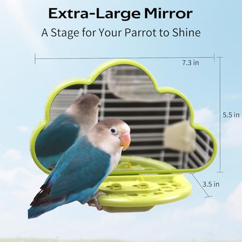 Bird Mirror Toy with Perch & Slow Feeder, Bird Cage Accessories Parakeet - color: Green