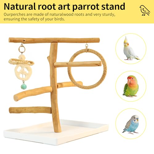 Natural Solid Wood Bird Perch Stand for Small & Medium Birds – Eco-Friendly, Sturdy Parrot Playstand with Hanging Toys & Rope Ring, Safe & Durable Bird Cage Accessory - color: WOOD-A