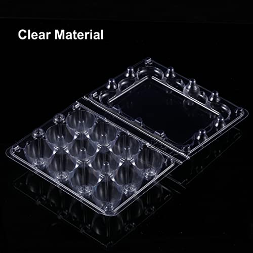 60 Pcs Quail Egg Cartons, Cheap Bulk Plastic Square Dozen Egg Carton | Classical 3x4 Style Holds Up to Twelve 12 Count Small Quail Pigeon Eggs, Boxes Tray Basket Container for Refrigerator
