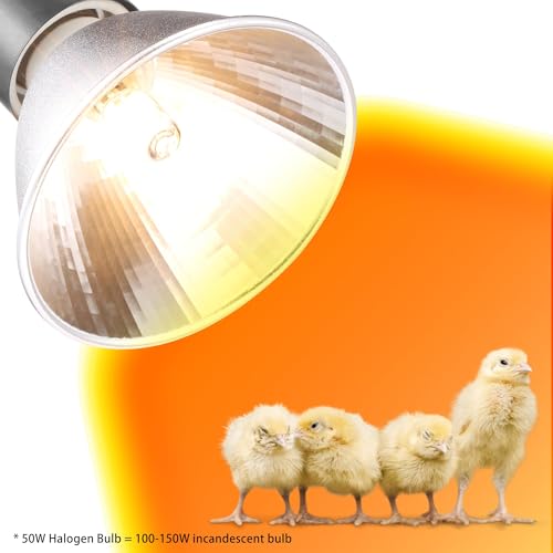 Heat Lamp for Chicken Coop Tiny Chicks Brooder, Basking Spot Flood Light White Bulbs Replaceable E26 Base 50 Watt Chick Heater for Reptile Pets Duckling Poultry Livestock