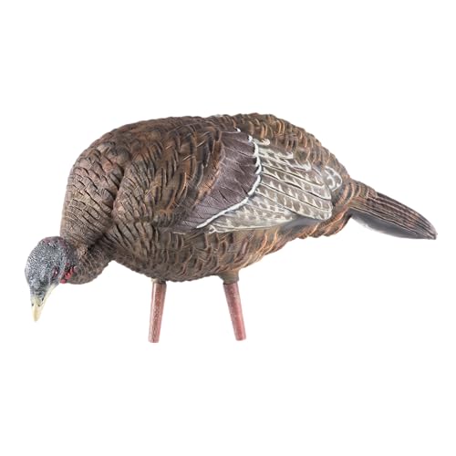 Avian-X LCD Feeder Hen Turkey Decoy with X-Factor Motion System – Realistic Lifelike Collapsible Standing Turkey, Durable Design, Carry Bag & Collapsible Stake for Hunting - style: LCD Feeder Hen