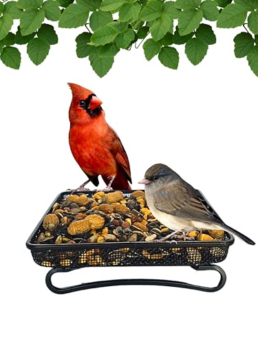 Ground and Deck Tray Feeder for Birds and Squirrels | Black Steel Mesh Tray Feeder - Holds 2 Cups of Seed, Nuts, or Mealworms for Ground Birds, Squirrels, Chipmunks, and Rabbits