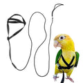Adjustable Bird Harness and Leash,Anti-Escape Nylon Parrot Harness Black L | Flying Training Rope Parrot Leash For Small Medium Large Breed Parrots Fits Chest Under 24.4'' - color: Black, size: L