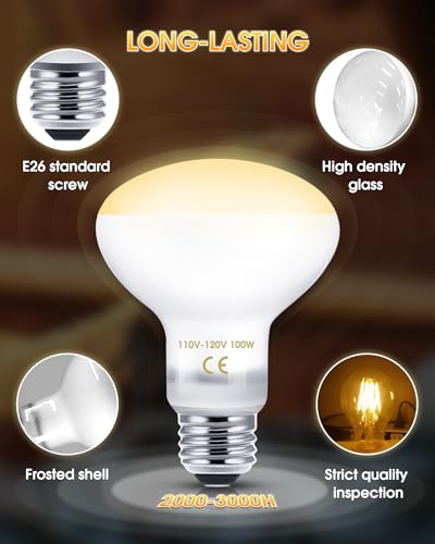 Reptile Heat Lamp Bulbs-100W UVA Natural Daylight Heating Lamp Basking Bulb | for Bearded Dragon, Basking Spot Floodlight Light for Reptiles, Lizard, Turtle, Snake Bathroom, Plants,Chickens Pets, 2 Pack - color: Daylight