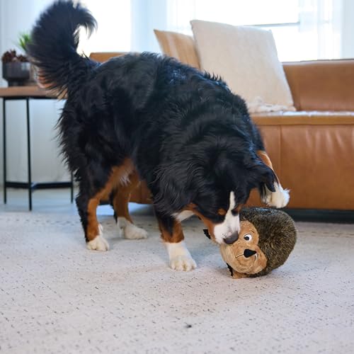 Outward Hound Hedgehogz Plush Dog Toy, Squeaks & Grunts, XL, 12" x 9" | Soft Realistic Faux Fur, Round for Rolling & Chasing, Cuddle & Carry, Interactive Fetch, Light Chewers, Dogs & Puppies - size: X Large (Pack of 1)