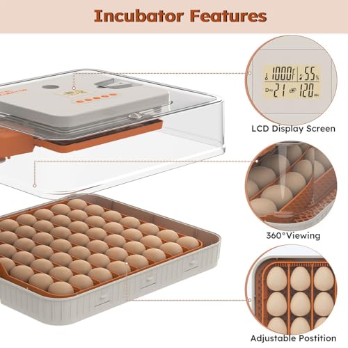 56-Egg Incubator, Automatic Egg Turner with LED Candler, Smart Temperature & Humidity Control, Automatic Water Refill, 360° Clear View, Airflow Circulation – Chicken, Duck, Quail, Bird Egg Hatcher