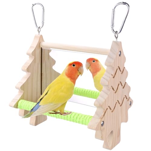 Small Bird Mirror Parrot Swing,Bird Stand Perch Toy,Double Sided Mirror Swing with Chew Flower Perch Safe Parakeet Budgie Cockatiel Cage Accessories for Biting Anxiety.
