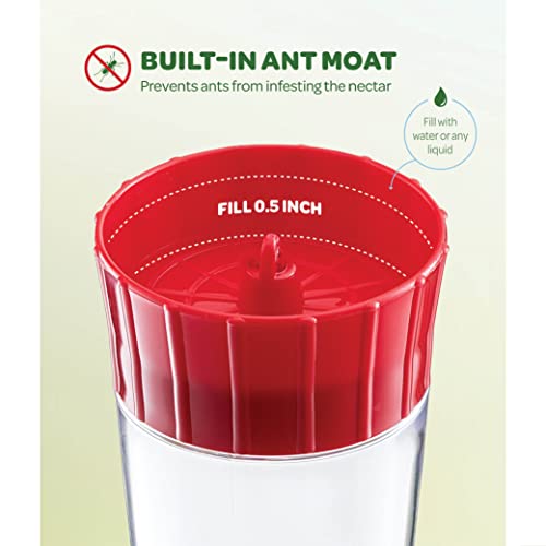 Hummingbird Feeder [Set of 2] Leakproof Clear Plastic 10 oz Wide Mouth. | Features A Built-in Ant Guard - Circular Perch with 5 Feeding Ports - Wide Mouth/2 Part Base for Easy Filling & Cleaning. - size: 10 oz - 2 Pack
