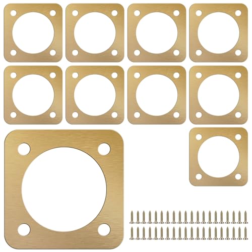 10Pcs Bird House Guard with Copper Portal 1 1/2 Inch Opening, Rustproof Metal Bluebird House Predator Guard with Screws, Woodpecker & Squirrel Proof Birdhouse Hole Protector for Outdoor Nesting Box