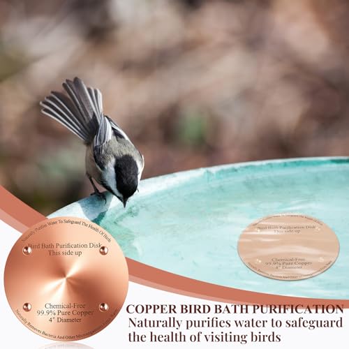 8 Pcs 4" Bird Bath Copper Disc, 0.6mm Thick | For Outdoor Birdbath Bowls Cleaner, Chemical-free Purification, Reinforced with 4 Point Support, Helps Prevent Algae - style: Classic