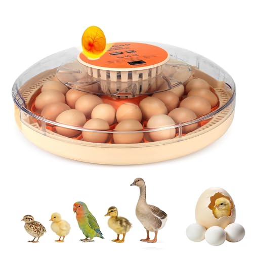 Gen IV - 30 Egg Incubator, Wide-Range Humidity with Manual Water Fill, Stable Temp Control, Dual-Size Egg Slots, Auto Egg Turning, Candler, Real-Time Display for Hatching Poultry Eggs - size: 30 egg-white