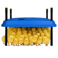 Adjustable 16x16 brooder Heating Plate for Baby Chicks, Providing Constant, efficient Warmth. Safe, Energy-Saving, Easy to Assemble and Clean. Perfect for Chicken Brooding (Blue)