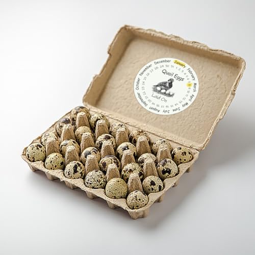 320 Pcs Quail Farm Fresh Eggs Stickers, 2 Inch Round Unwashed Eggs Carton Labels Sticker PET Adhesive Egg Packaging Stickers for Box Container Carton Farm Supplies - color: Quail Eggs