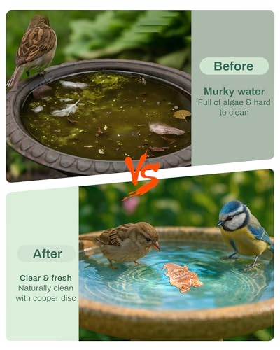OICEME Bird Bath Purification Disk Pure Copper Outside Winter Solar Power Birdbath Backyard Outdoor Wild Cleaner Heater Hummingbird Bee Water Humming Feeder Cage Dispenser Lover Gift Accessories Gnome - color: Copper Gnome
