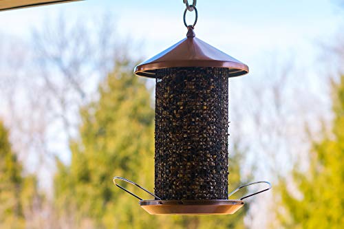 Cottage Garden 12 inch Copper Finish Heavy Duty Mesh Metal 3 Lb. Secure Cap Cover Nut Bird Feeder - color: Copper Tone