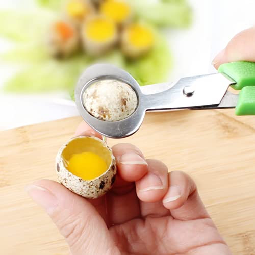Quail Egg Cartons,12 Grids Small Egg Storage Holders,Quail Eggs Bulk Carton Trays & 2PCS Stainless Steel Cutter