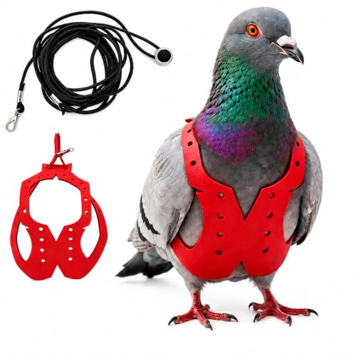 Adjustable Bird Harness & Leash Set for Small Birds,FitsBudgie,Parakeets, Conures, Cockatiels,Green Cheek,Quaker Parrots(Red, 2XL) 6350-12 - color: Red, size: 2XL,for domestic Pigeon and similar size birds