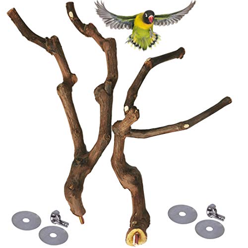 PINVNBY Natural Parrot Perch Bird Stand Pole Wild Grape Stick Paw Grinding Fork Parakeet Climbing Standing Branches Toy Chewable Cage Accessories for Small Lovebirds Budgies Cockatiels 2PCS - size: 9.8in