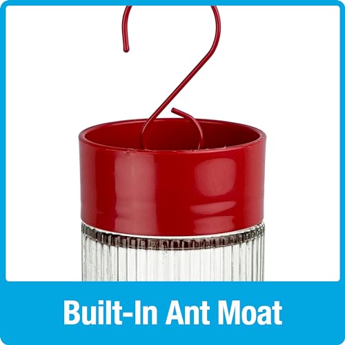 Nature's Way Hanging Glass Hummingbird Feeder for Outdoor Décor, 28 Ounce Capacity Nectar Feeder, Ant Moat, 7 Easy to Clean Flexible Ports, Red - style: 28 Ounce Capacity