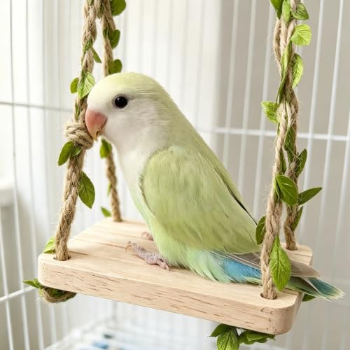 Spinning Bird-Toys Bird Cage Toys & Bird Perch Parrot-Parakeet Budgie Cockatiel Conure Macaw Chicken Parrot Enrichment Cage Accessories Small Animal Chewing Toy (Hanging Bird Swing) - color: Hanging Bird Swing