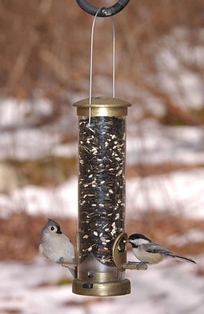 Aspects 394 Quick-Clean Seed Tube Feeder, Small - Antique Brass - color: Antique Brass, size: Small