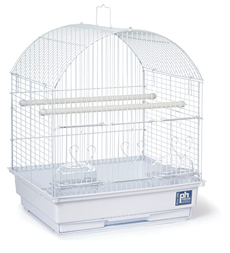 Prevue Pet Products Parakeet Starter Cage Kit with Toys, Perches, Cups, Removable Grill and Pullout Tray