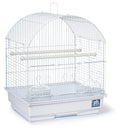 Prevue Pet Products Parakeet Starter Cage Kit with Toys, Perches, Cups, Removable Grill and Pullout Tray