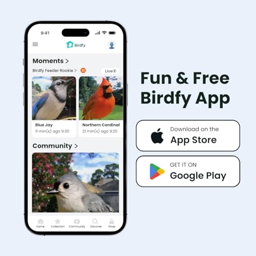 Smart Bird Feeder with Camera for Rookie, Camera Bird Feeder Dual Night Vision, AI Recognition IP66 Waterproof for BirdLovers - style: AI Permanent Service