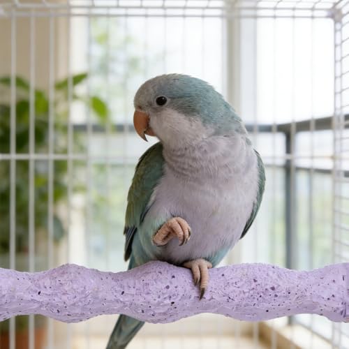 Bird Beak Grinding Stone, 2 Pcs Parrot Resin Beak Grinder Stones Anti-Slip Parakeet Nail Trimming Stick Platform Foot Claws Trimmer for Parrot Cage Accessories