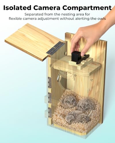 Screech Owl Nesting Box with Camera,Isolated Camera Bay,Owl House,Solar | 2.4G WiFi,2K HD,Night Vision Camera,Included Wood Shavings for Outdoor Yard Nesting,Solar Powered