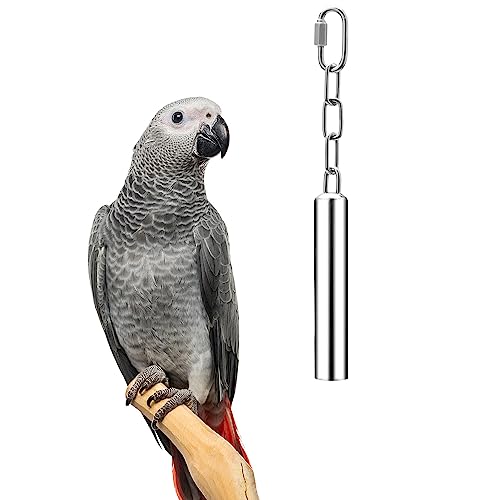 Wontee Stainless Steel Bell Toy Bird Cage Hanging Bite Toy for Parrot Parakeet Budgie Cockatiel Conure African Greys (L) - size: L