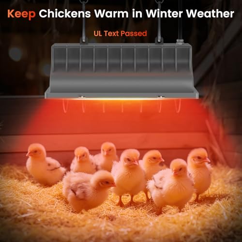 300W Chicken Coop Heat Lamp Brooder Heater for Chicks | 9.84ft Cord UL Passed Heating Plate & Heat Lamp with Adjustable Hanging Height for Livestock Supplies Indoor Warmer(2 Pack)