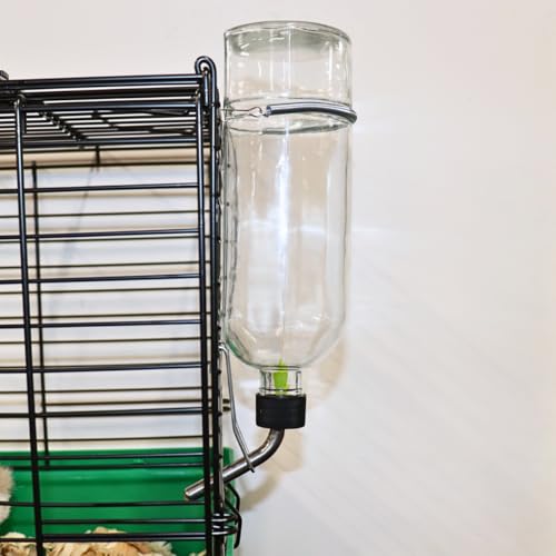 Lixit® Chew Proof Flat Sided Water Bottles for Rabbits, Ferrets, Rats, Birds, Hamsters, Guinea Pigs, Chinchillas Gerbils and Other Small Animals - Made in USA (Clear, 26 Ounce Pack of 2) - color: Clear (Pack of 2), size: 26 Ounce