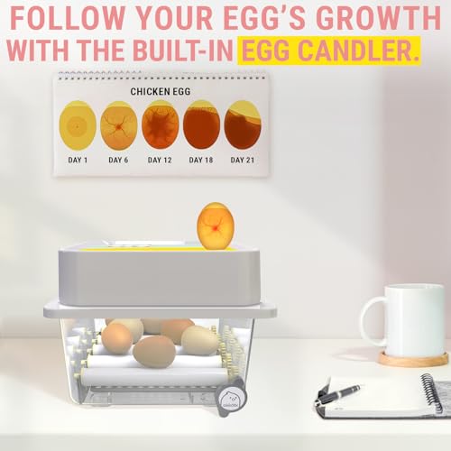 OBI-36 Egg Incubator for Hatching - 36 Eggs - Stable Temperature & Humidity Control with Eggloo Insulation, Candler - Ideal for Families and Farms - Suitable for Chicken, Duck, Quail Eggs - color: Yellow