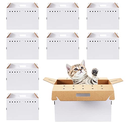 Kisston 12 Pieces Cardboard Pet Carriers 17.5 x 8.5 x 15 Inches for Small Animals Cat Hamster Guinea Pig Rabbit Bird Travel Box